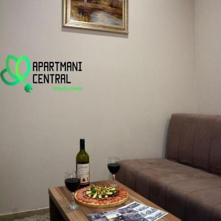 Apartmani Central 2.0 & Free Parking Vrnjacka Banja Luaran gambar
