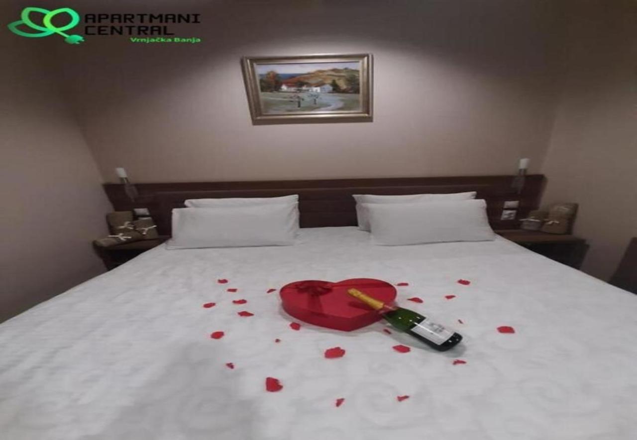 Apartmani Central 2.0 & Free Parking Vrnjacka Banja Luaran gambar